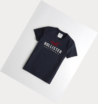 Hollister T-shirts - prices in dubai